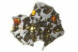 Pallasite Meteorite ( g) Slice - NWA #266441-1